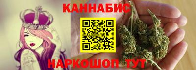 мет Кингисепп