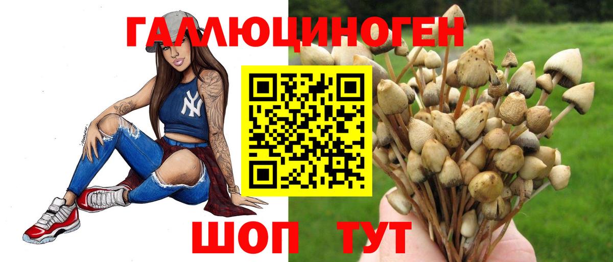 Псилоцибиновые грибы GOLDEN TEACHER Кунгур